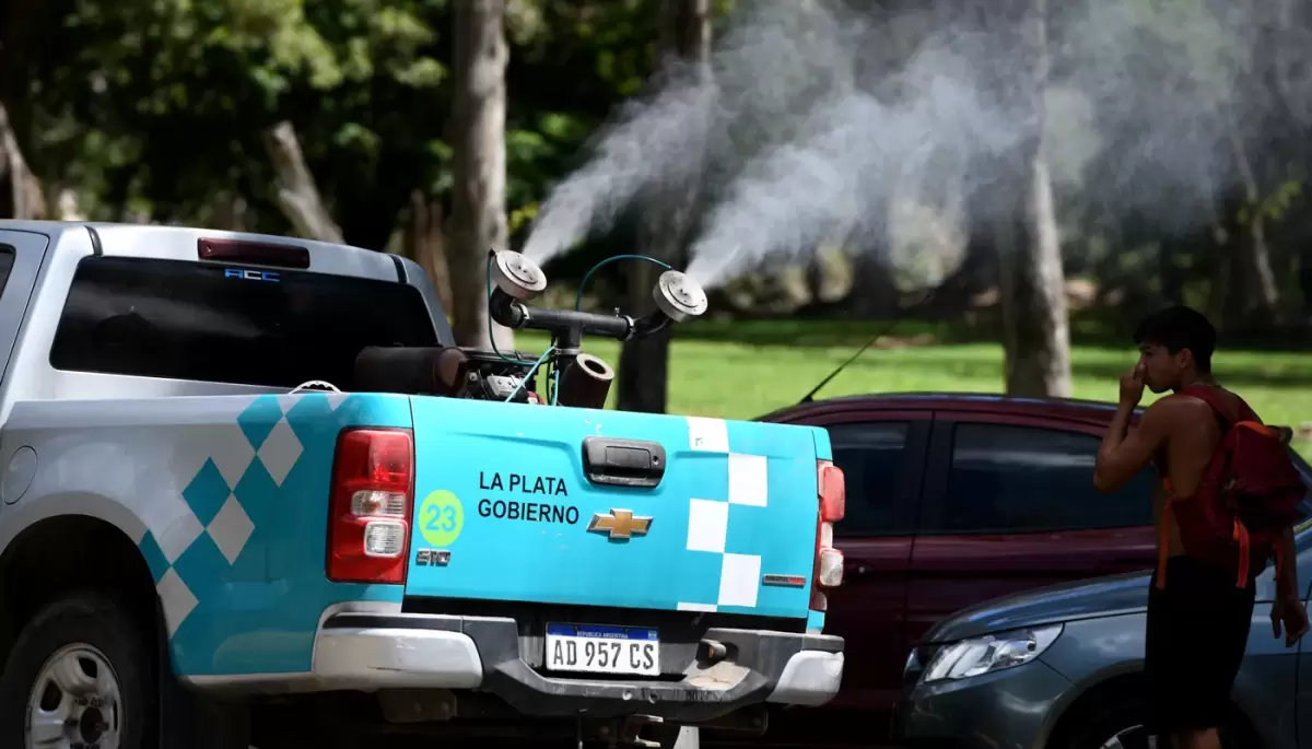 🦟 City Bell, Villa Elisa y Gorina: La Municipalidad de La Plata combate al dengue