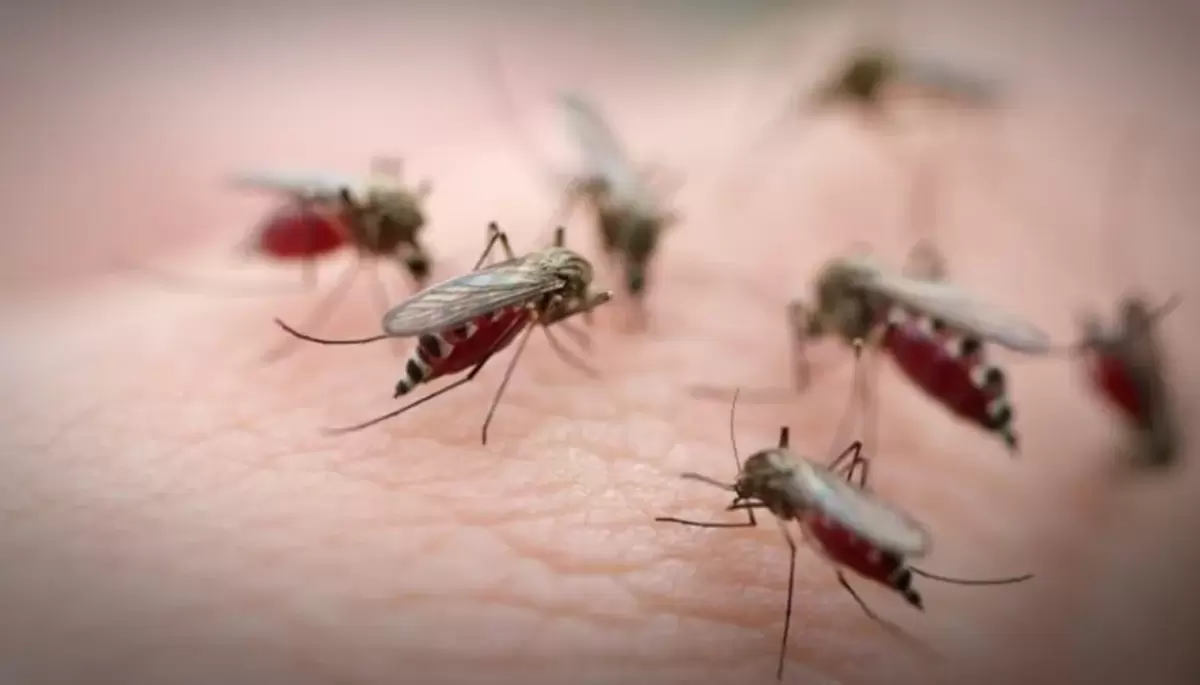 🚨 Alerta dengue en escuela de Villa Elisa: Esperan a ABSA hace 5 años por una pérdida