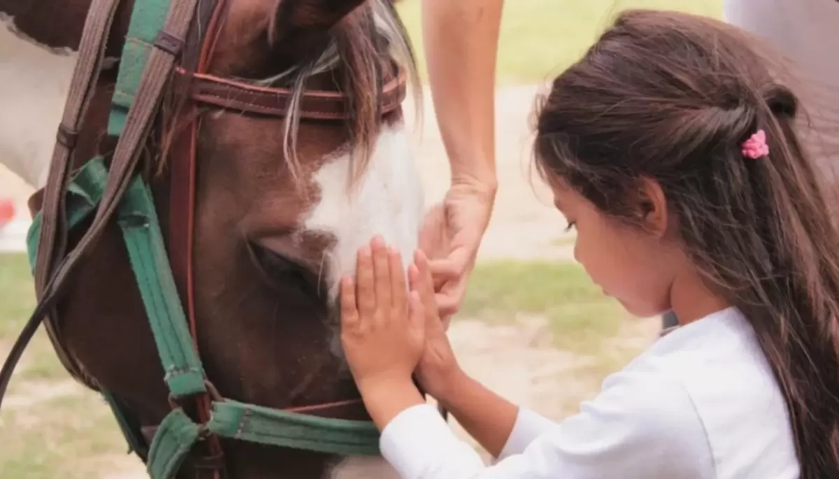 🐴 Equinoterapia e inclusión: Histórico campo abre sus puertas en Arturo Seguí
