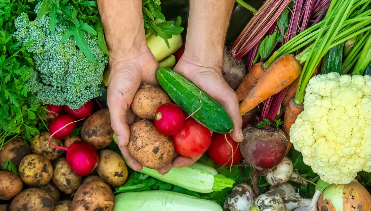 💰 Feria Verde y Huerta Comunitaria en Villa Elisa: 1 kilo de morrón por $1500