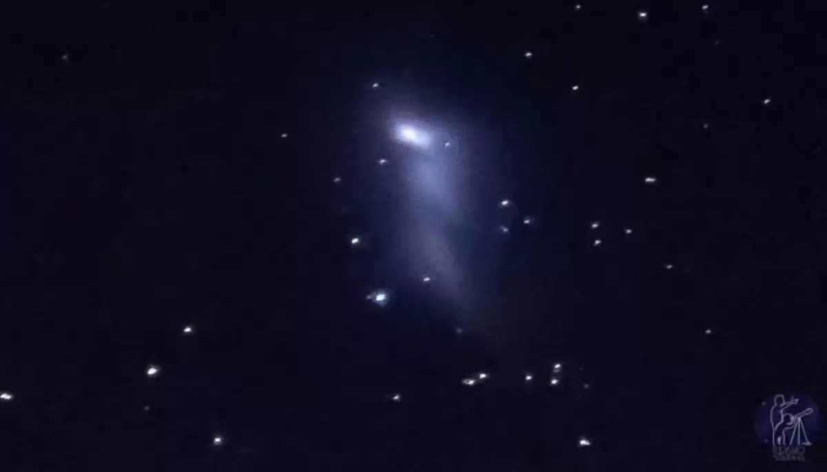 🛸 ¿Avistamiento OVNI en el Parque Pereyra? La verdad sobre la misteriosa luz en el cielo