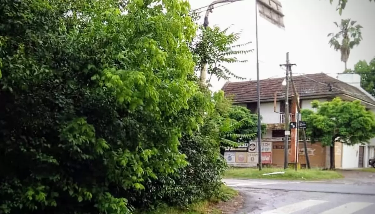 😡 Vecinos de City Bell contra la Municipalidad por basurales sobre el Camino Belgrano
