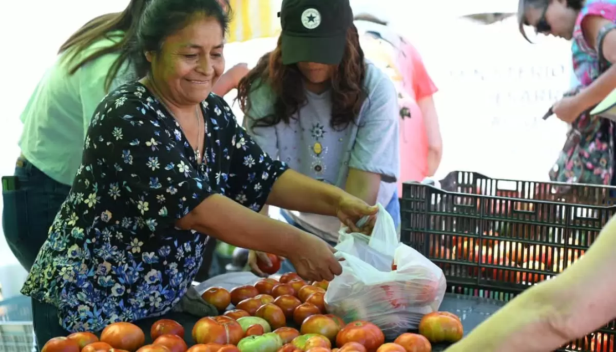 🍅 Música en vivo, foodtrucks y charlas: Llega la Fiesta del Tomate Platense a Gorina