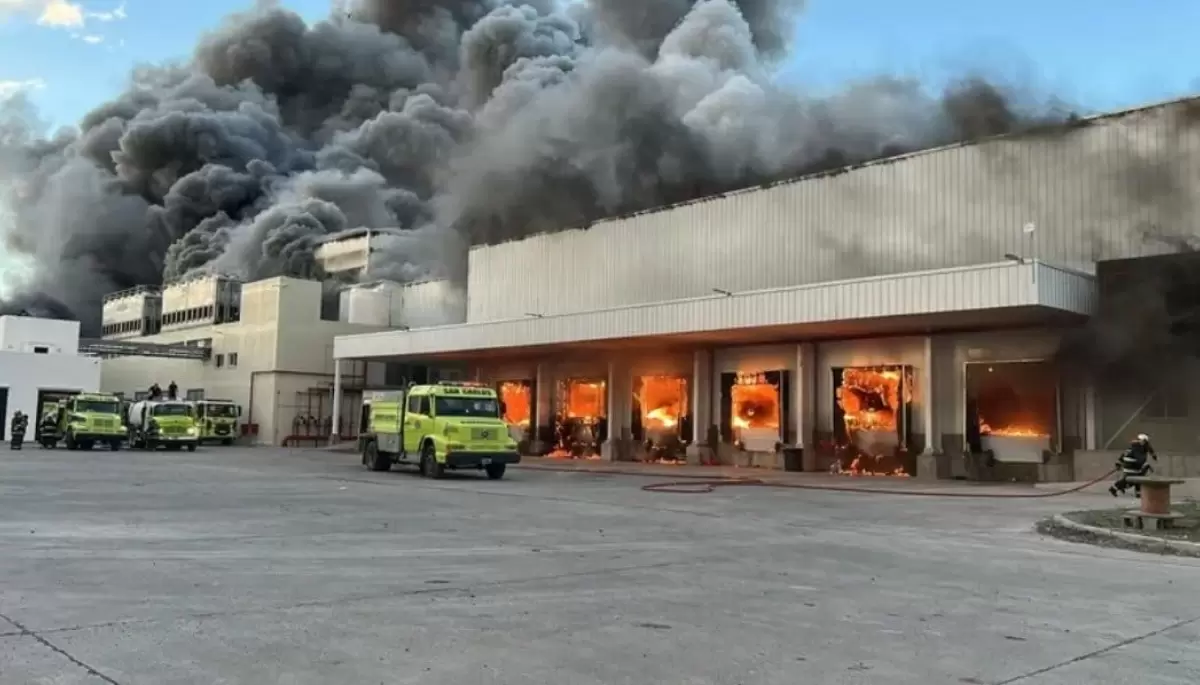 🔥 Incendio en Frigorífico Gorina: ¿Qué se sabe hasta ahora y cómo sigue la situación?