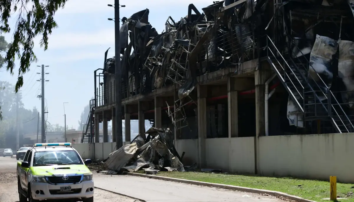 🤢 4 barrios de La Plata encerrados por invasivo olor a animal muerto en el aire