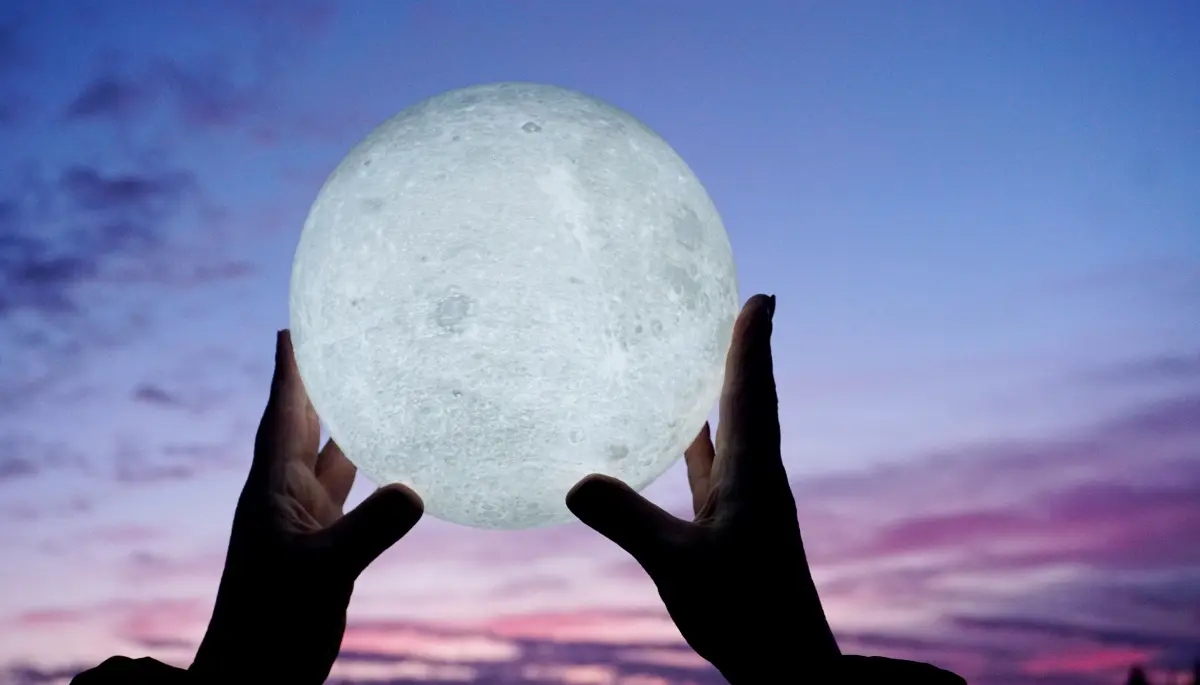 ✨ Luna llena en el Bosque de City Bell: Sumate a una nueva caminata mágica