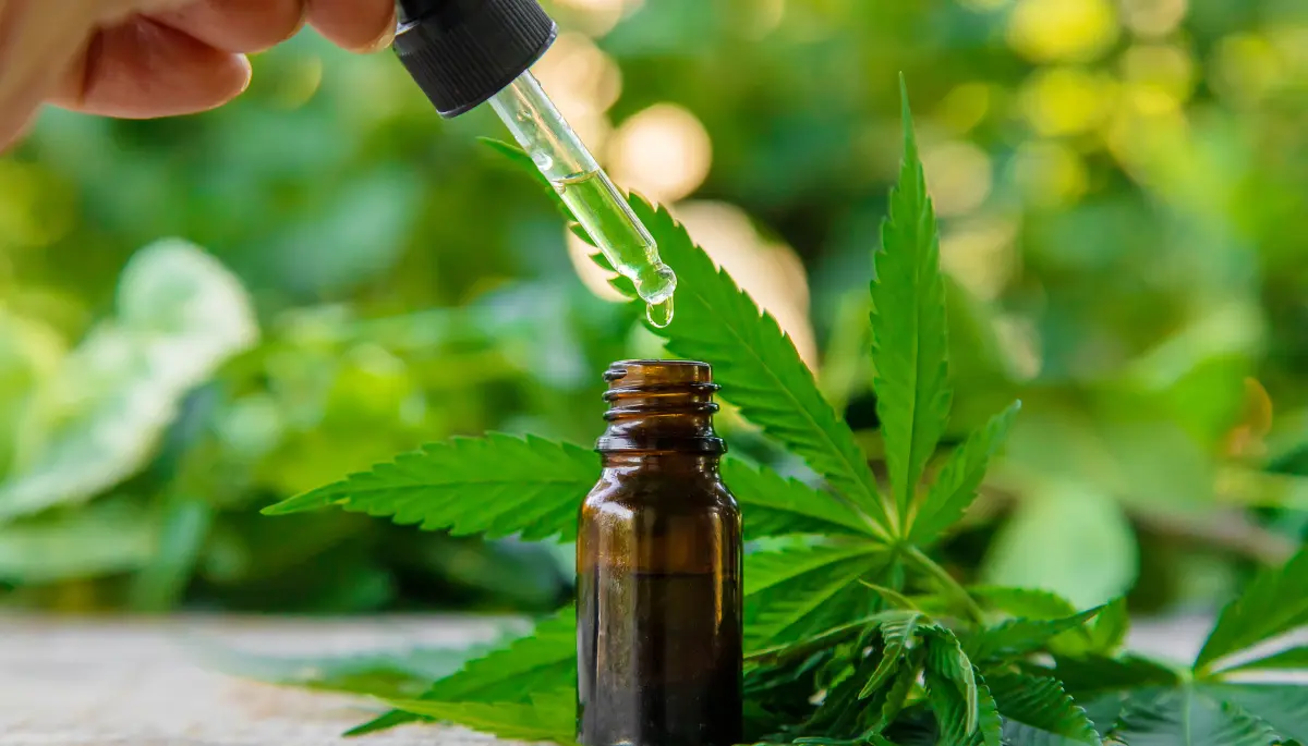 🟢 Marihuana medicinal entre City Bell y Villa Elisa: Encuentro para escuchar y aprender sin prejuicios