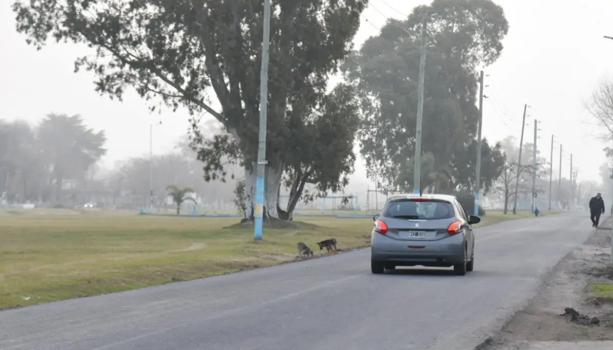 💡 Nuevo asfalto y más luz en el corazón de Arturo Seguí: Alak recorrió las obras