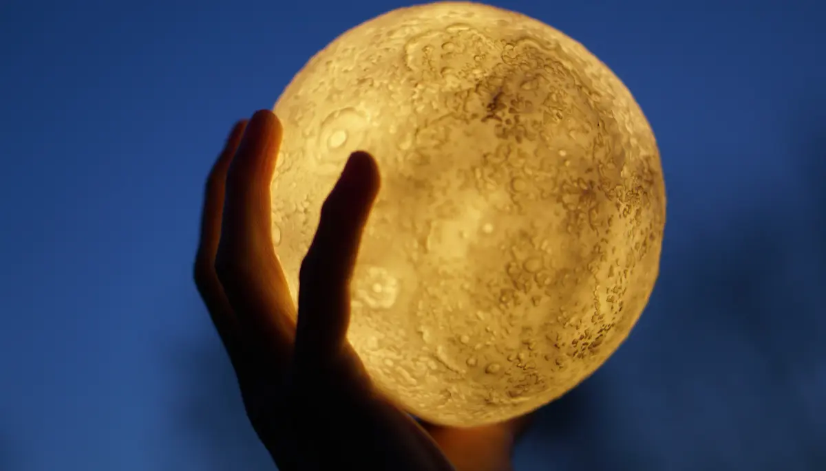 ✨ Nueva noche mágica en el Bosque de City Bell bajo la luna llena: ¿Te sumás?