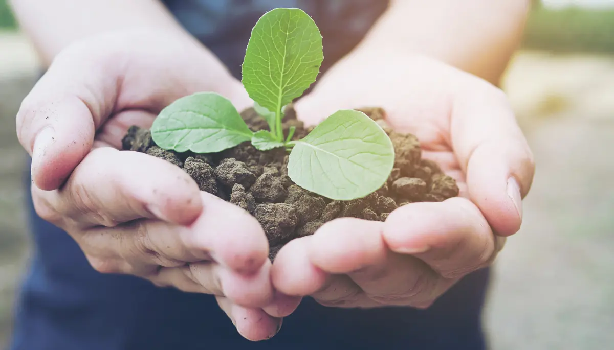 💚 Feria agroecológica, talleres y charlas en Villa Elisa con productores locales
