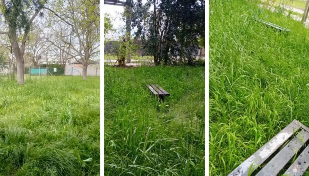 🔥 City Bell en llamas por un pulmón verde que podría transformarse en condominios