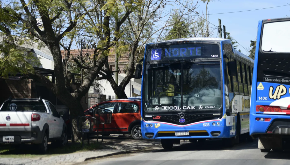 🚌 2 micros nuevos en Villa Elisa: ¿Cómo será el nuevo sistema de transporte en La Plata?