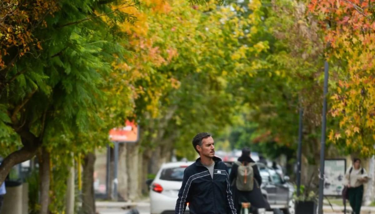 🚨 Alerta COUT en City Bell y Villa Elisa: Edificios más altos, más habitantes y menos verde