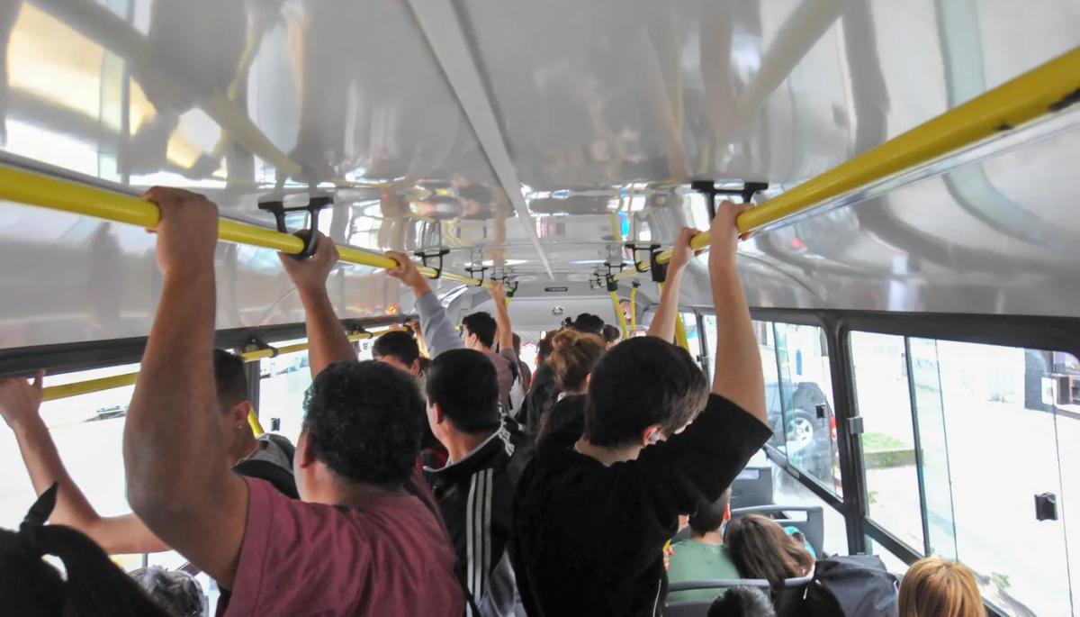 🚌 3 micros nuevos para Villa Elisa, Arturo Seguí y El Rincón: ¿Cuáles son?