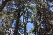 En El Rincón los reclamos vecinales cumplen 10 años sin solución