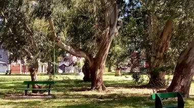 Preocupación en City Bell por ola de robos