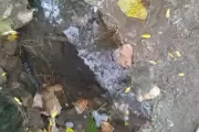 Una cascada en City Bell