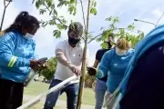 Ciudad Verde: ¿En qué consiste el "Plan de Forestación 20-25"?