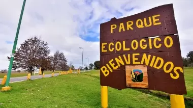 Plantas silvestres comestibles: Charla y degustación en el Ecológico