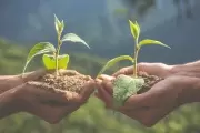 "Plantamos Memoria" presente en Villa Castells y Barrio Savoia