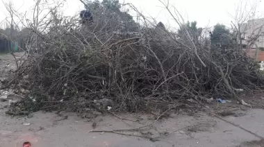 En Gonnet reclaman desesperadamente recolección de montaña de ramas