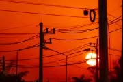 Robo de cableado: Hasta 4 meses sin Internet en Villa Elisa y Seguí