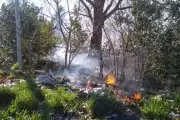 "Reserva Mundial de la Mugre": Basura, fuego y abandono en el Pereyra