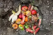 Compostera Comunitaria y capacitaciones en Agroecología en City Bell