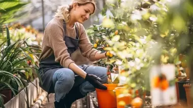 Primavera Ecológica: Cosmética, Plantas, Salud y Fertilizante Natural