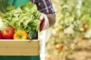 El "Eco" sale a las calles: Capacitaciones sobre huertas y aboneras