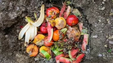 Compostera Comunitaria y capacitaciones en Agroecología en City Bell