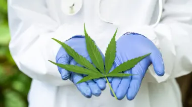 🟢 Cannabis terapéutico, autismo y TGD en La Plata: Nuevo encuentro con especialistas