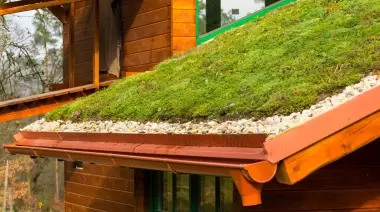 Curso gratuito en el Parque Ecológico: ¿Cómo construir un "techo verde"?