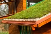 Curso gratuito en el Parque Ecológico: ¿Cómo construir un "techo verde"?
