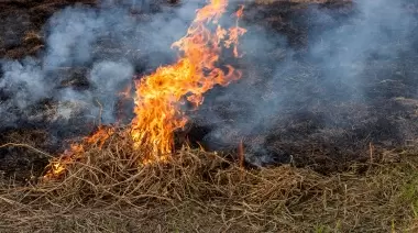Barrio alerta en City Bell por una vecina con tendencias pirómanas