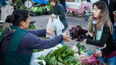 🥳 Feria Agroecológica en Villa Elisa con shows en vivo, patio de comidas y talleres