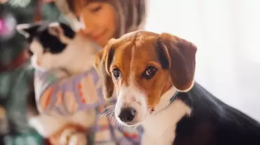 Día Mundial de los Animales: ONG platense sigue luchando por sus derechos