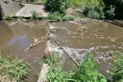 Leé acá el informe completo de la Autoridad del Agua sobre el Arroyo Rodríguez