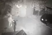 Video: En Villa Elisa duermen a los perros y roban en un santiamén