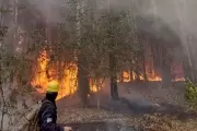 ¿Incendio intencional en Parque Pereyra? Countries, negociados y otras yerbas