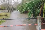 Vecinos alertas: ¿Cuáles son los 13 pedidos de Gorina al Municipio?