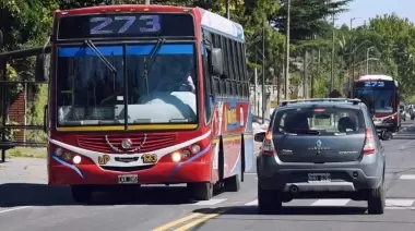 🚍 Micros, frecuencias y recorridos: ¿Cómo mejorar el servicio en la Zona Norte platense?