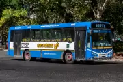 Atención City Bell, Gonnet y Villa Elisa: Habilitan web para opinar sobre transporte público