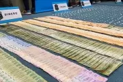 Cayó en Villa Castells el chofer de una megabanda narco que operaba en la región