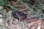 Inseguridad sin fin: Robo violento en Gonnet y "perra heroína" en Arturo Seguí