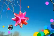 📅 Agosto en el Parque Ecológico Municipal: Guía completa con días y horarios de todas las actividades