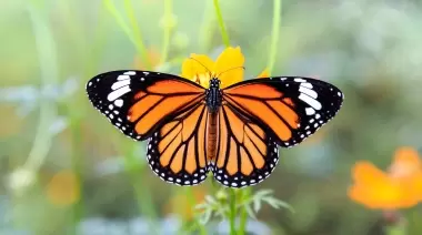 🌻 Septiembre y Primavera en el Parque Ecológico Municipal: Guía completa de actividades