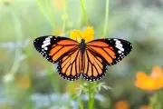 🌻 Septiembre y Primavera en el Parque Ecológico Municipal: Guía completa de actividades