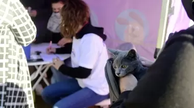 Villa Castells, Villa Elisa y El Rincón:  Campaña de vacunación antirrábica gratuita