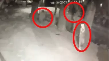 Video: Así operan en City Bell los "rateros" del barrio Quintas de Alvear